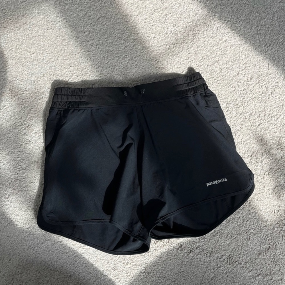 Patagonia shorts (NWOT)
